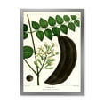 thumbnail image 1 of Designart 'Ancient Plant Life IX' Traditional Framed Art Print, 1 of 4