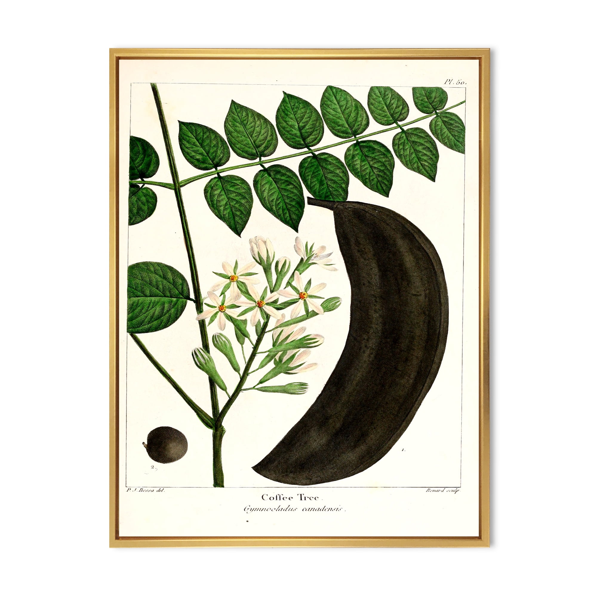 Designart 'Ancient Plant Life IX' Traditional Framed Canvas Wall Art Print
