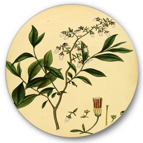 Designart 'Ancient Plant Life V' Traditional Circle Metal Wall Art 36x36 - Disc of 36