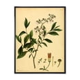 thumbnail image 1 of Designart 'Ancient Plant Life V' Traditional Framed Canvas Wall Art Print, 1 of 5