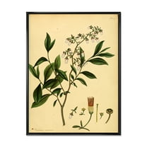 Designart 'Ancient Plant Life V' Traditional Framed Canvas Wall Art Print