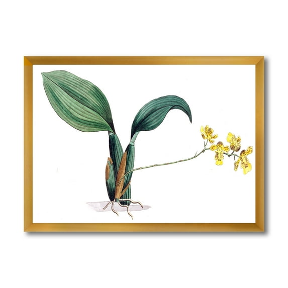 Designart 'Ancient Plant Life VI' Traditional Framed Art Print