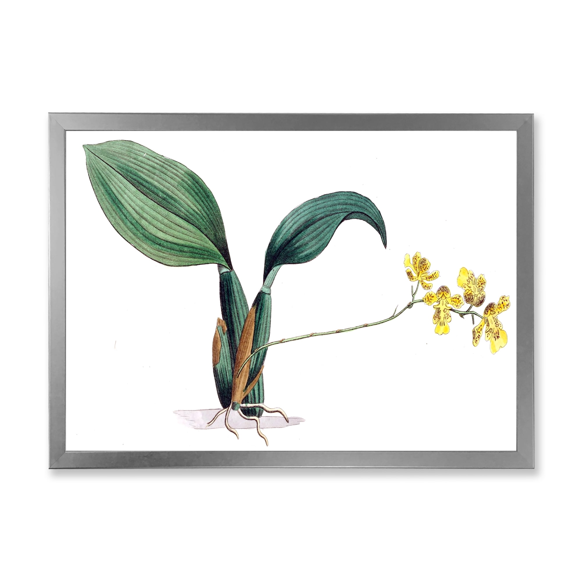 Designart 'Ancient Plant Life VI' Traditional Framed Art Print