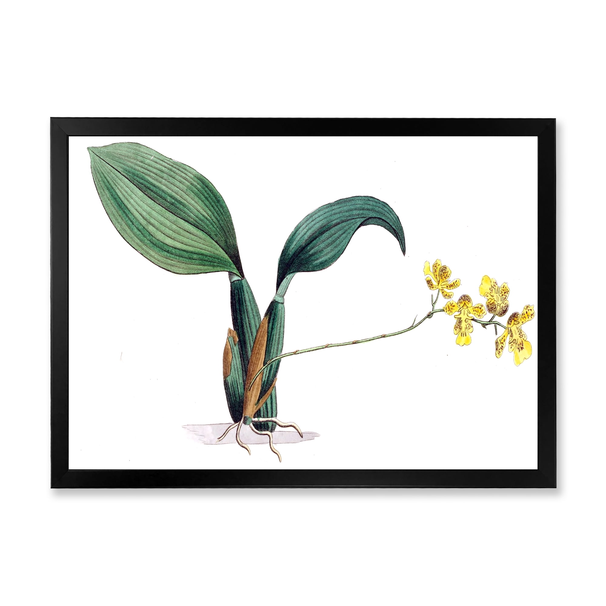 Designart 'Ancient Plant Life VI' Traditional Framed Art Print