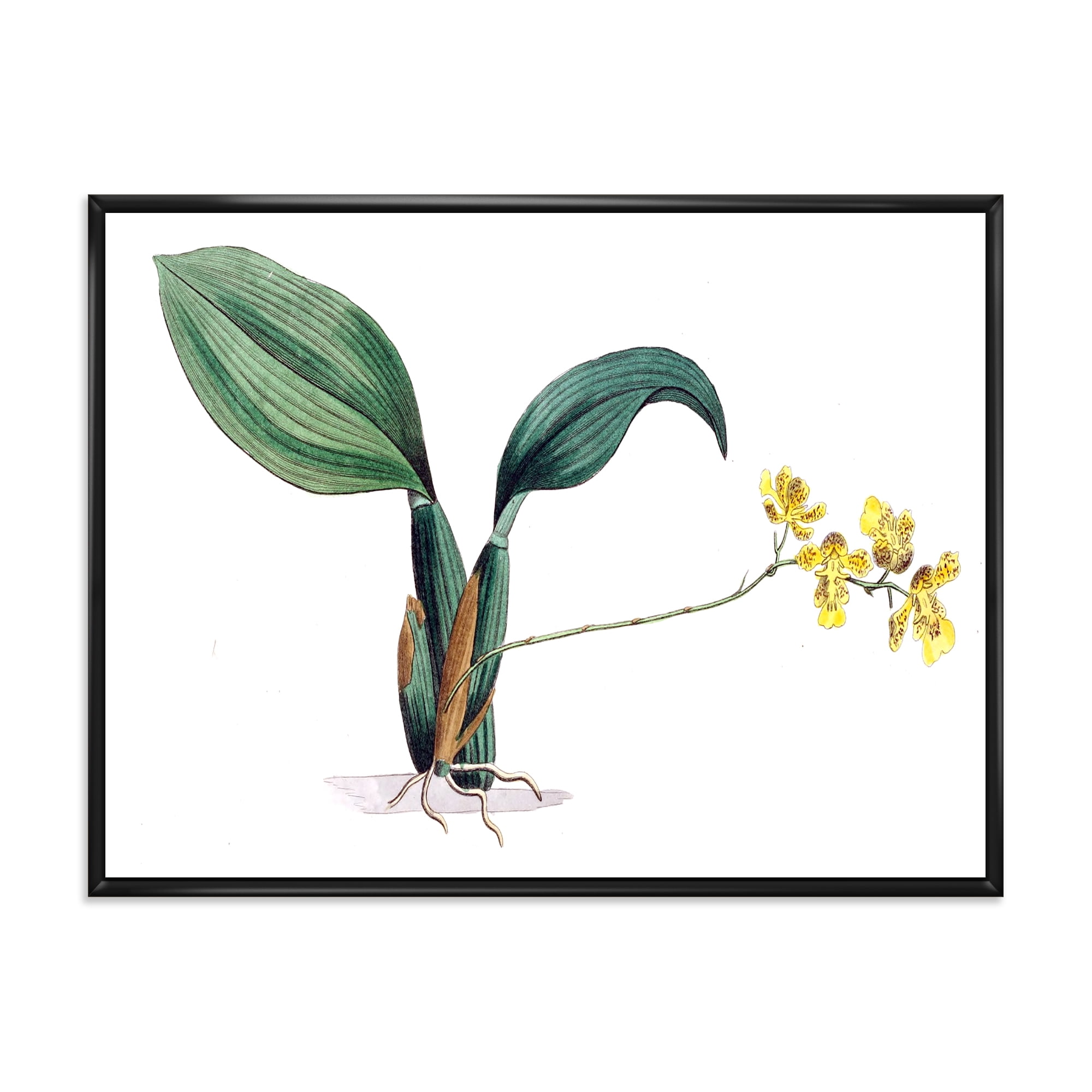 Designart 'Ancient Plant Life VI' Traditional Framed Canvas Wall Art Print