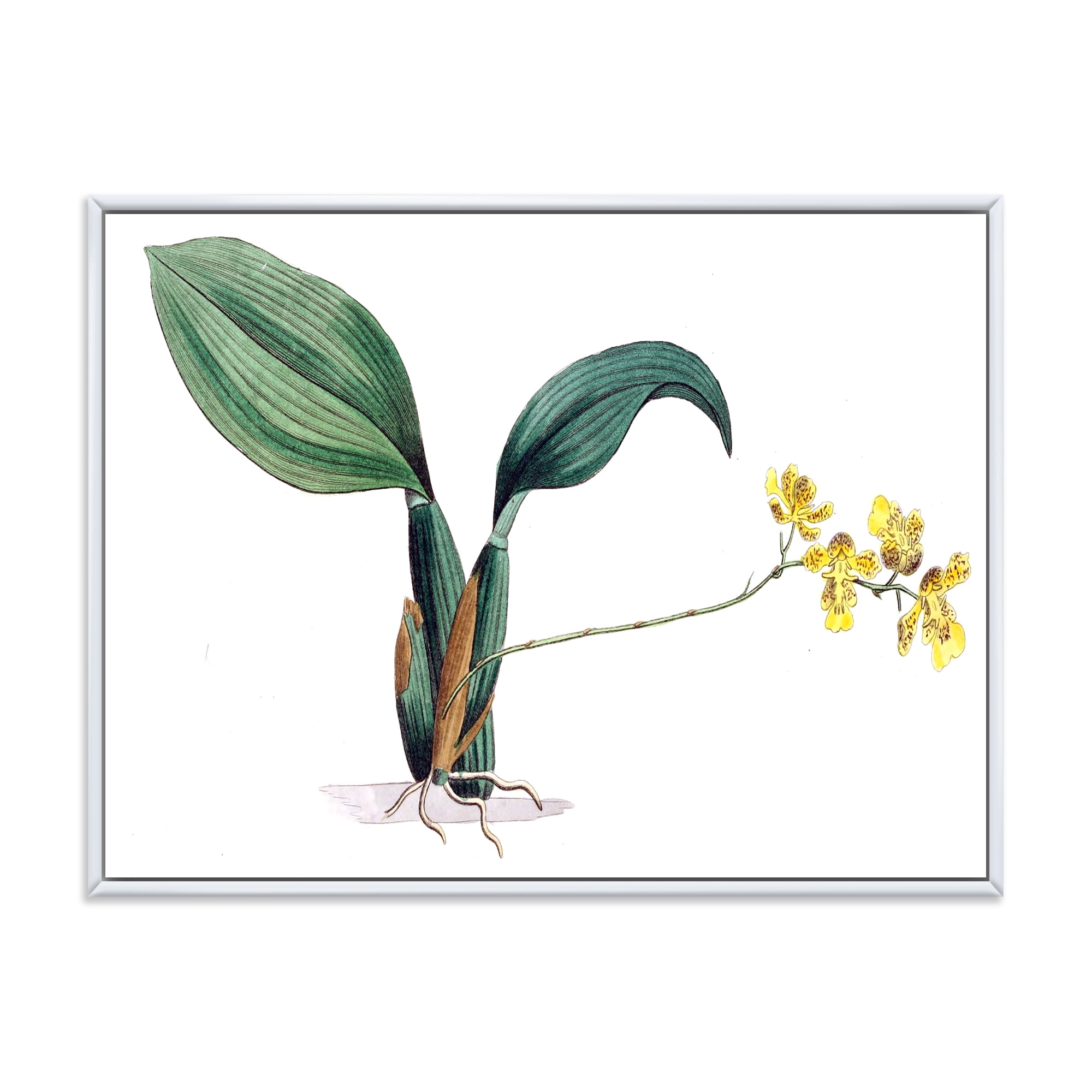 Designart 'Ancient Plant Life VI' Traditional Framed Canvas Wall Art Print