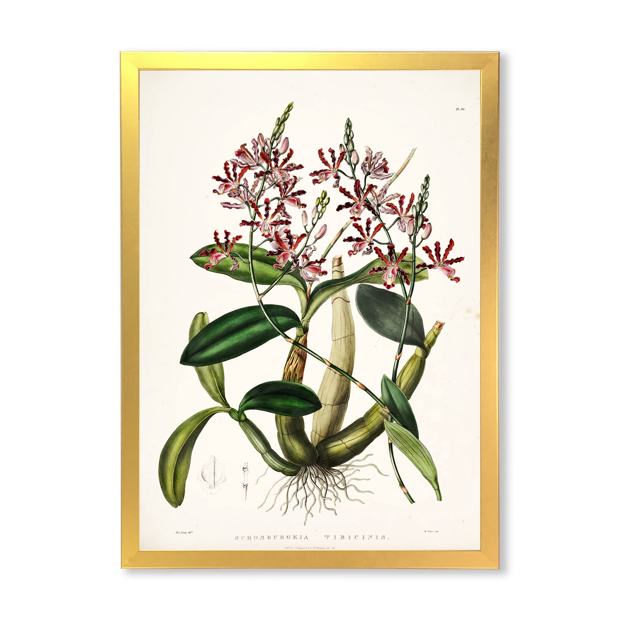 Designart 'Ancient Plant Life VII' Traditional Framed Art Print