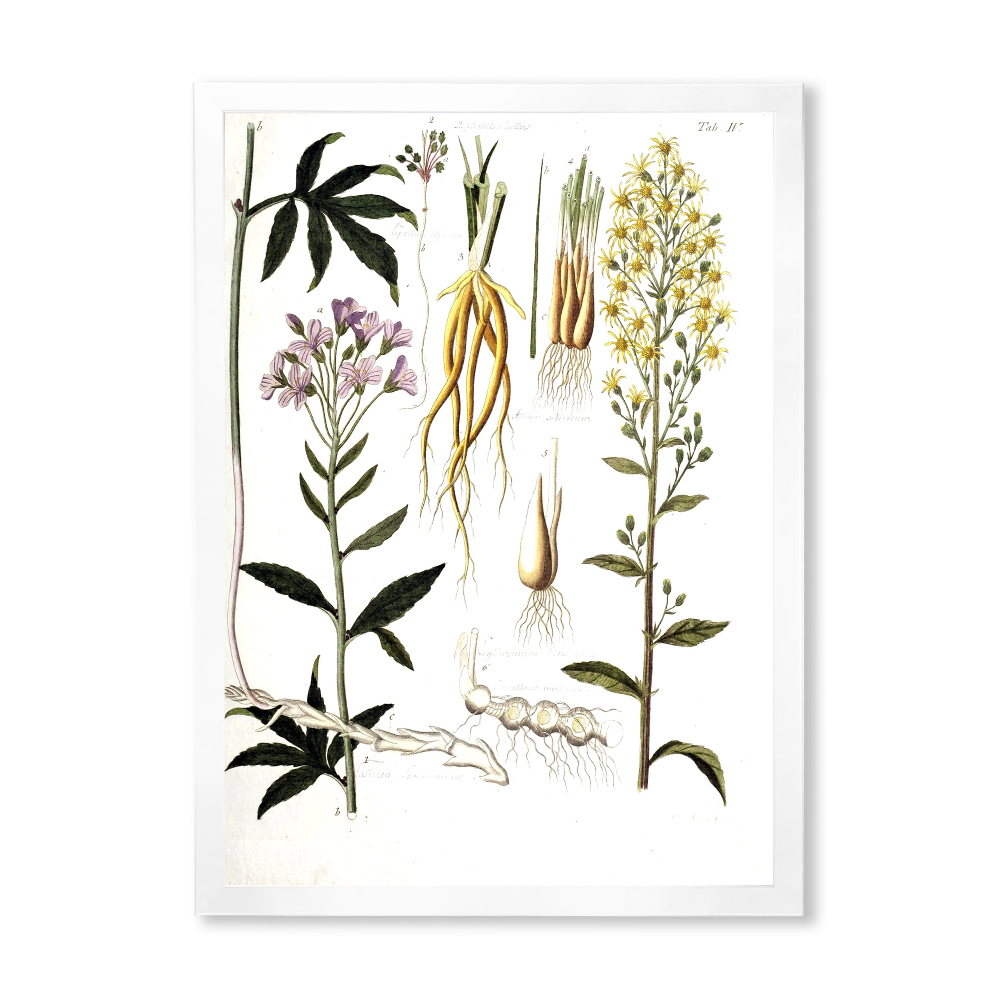 Designart 'Ancient Plant Life VIII' Farmhouse Framed Art Print