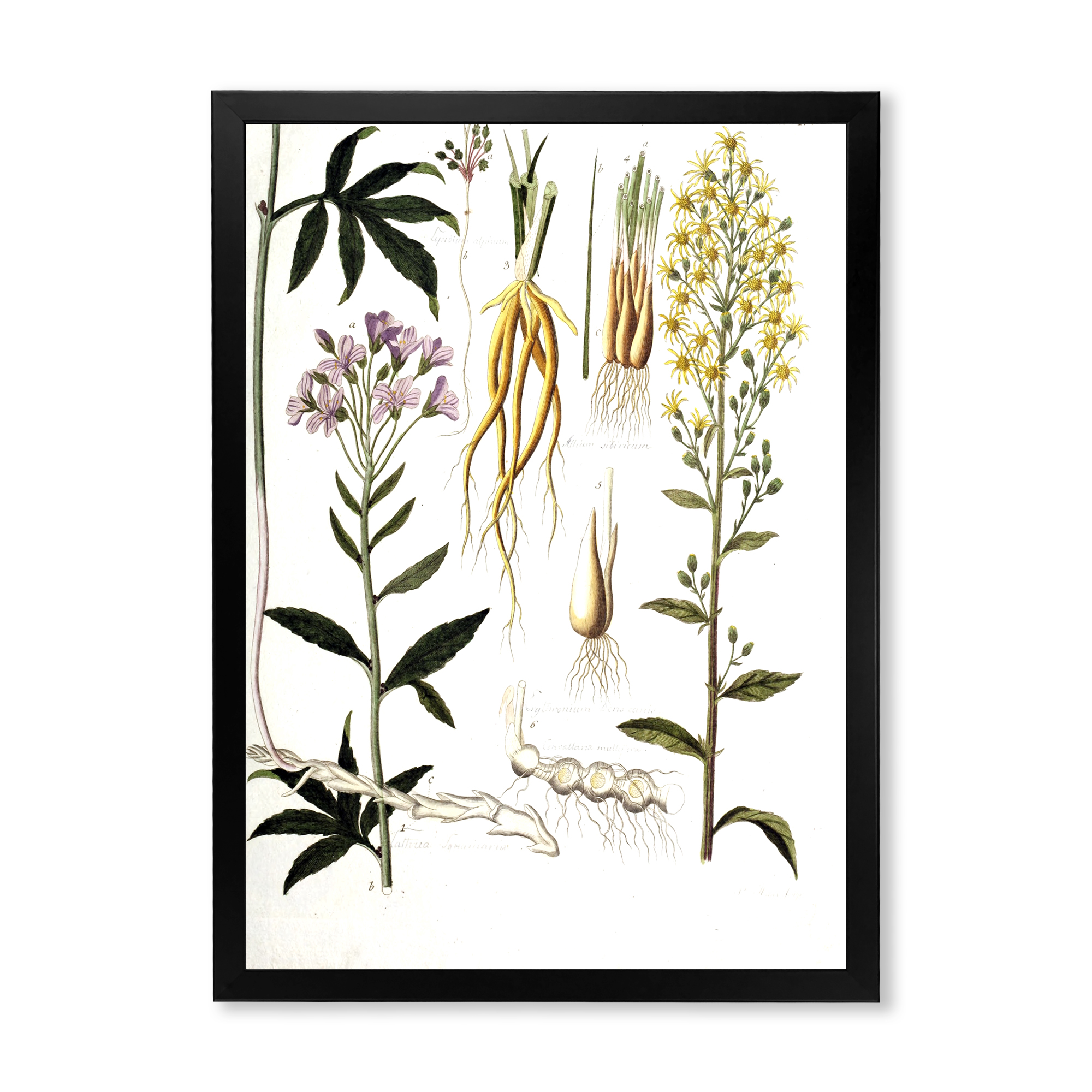 Designart 'Ancient Plant Life VIII' Farmhouse Framed Art Print
