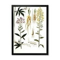 thumbnail image 1 of Designart 'Ancient Plant Life VIII' Farmhouse Framed Art Print, 1 of 4