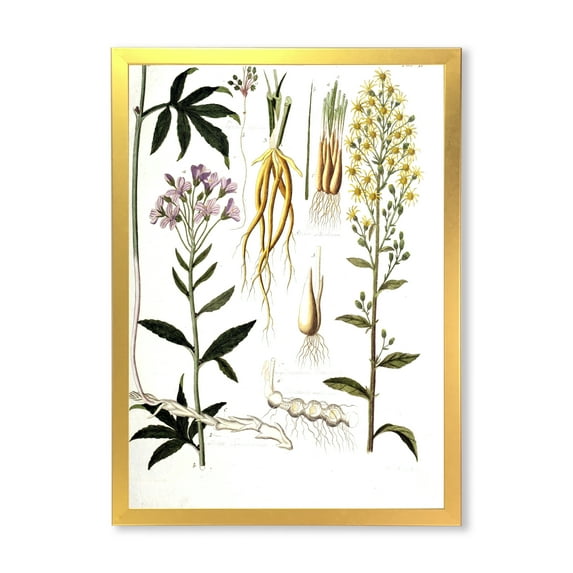 Designart 'Ancient Plant Life VIII' Farmhouse Framed Art Print