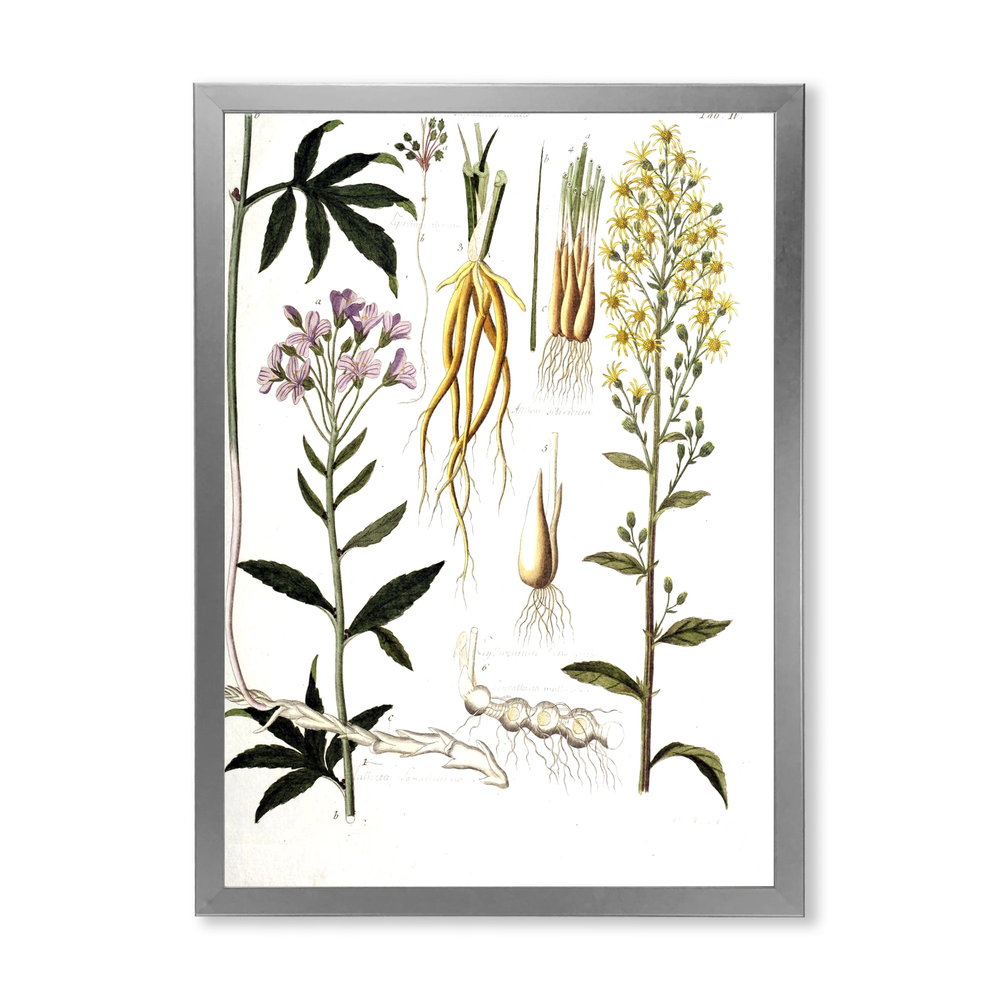 Designart 'Ancient Plant Life VIII' Farmhouse Framed Art Print