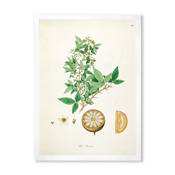 Designart 'Ancient Plant Life X' Farmhouse Framed Art Print