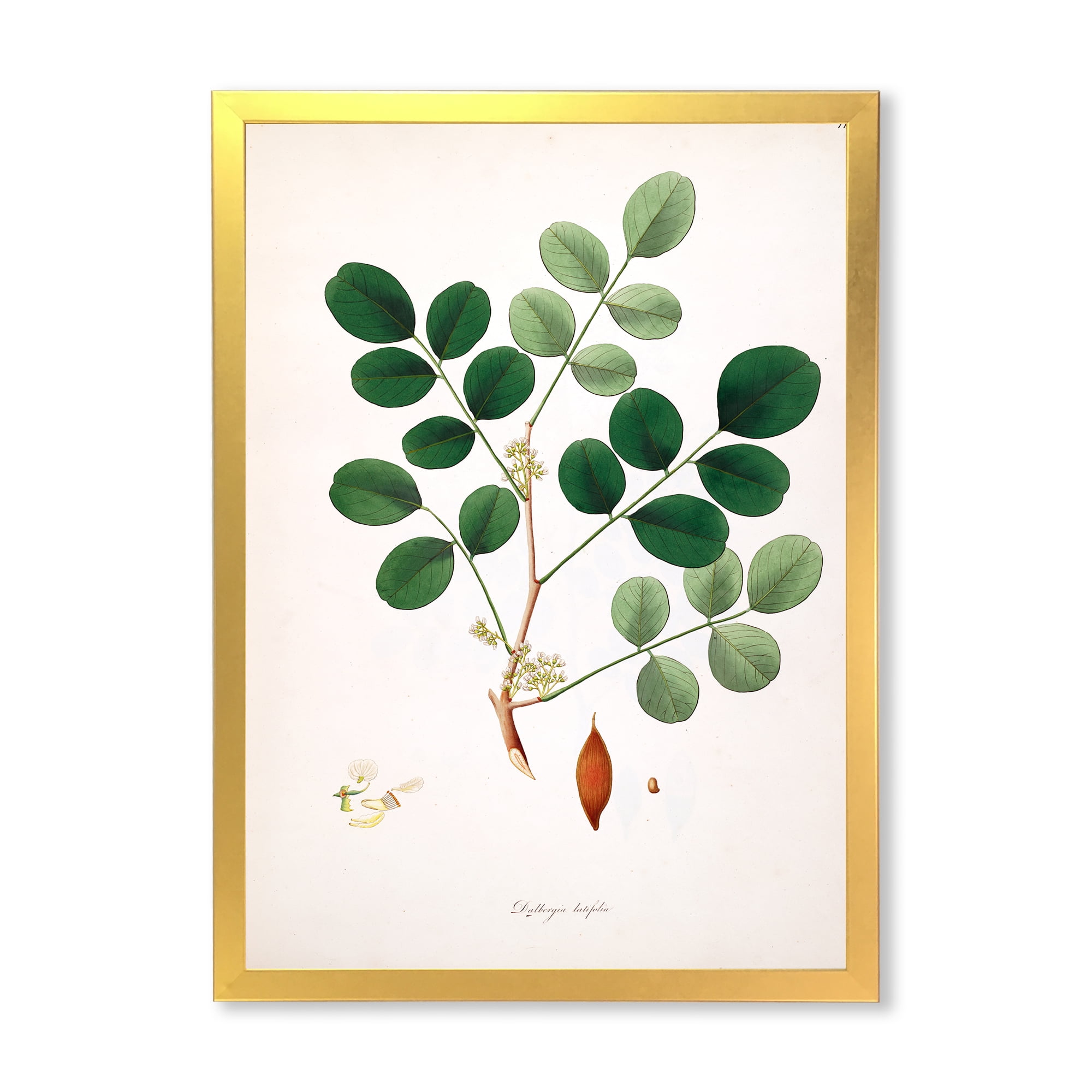 Designart 'Ancient Plant Life XI' Farmhouse Framed Art Print