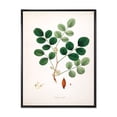thumbnail image 1 of Designart 'Ancient Plant Life XI' Farmhouse Framed Canvas Wall Art Print, 1 of 5