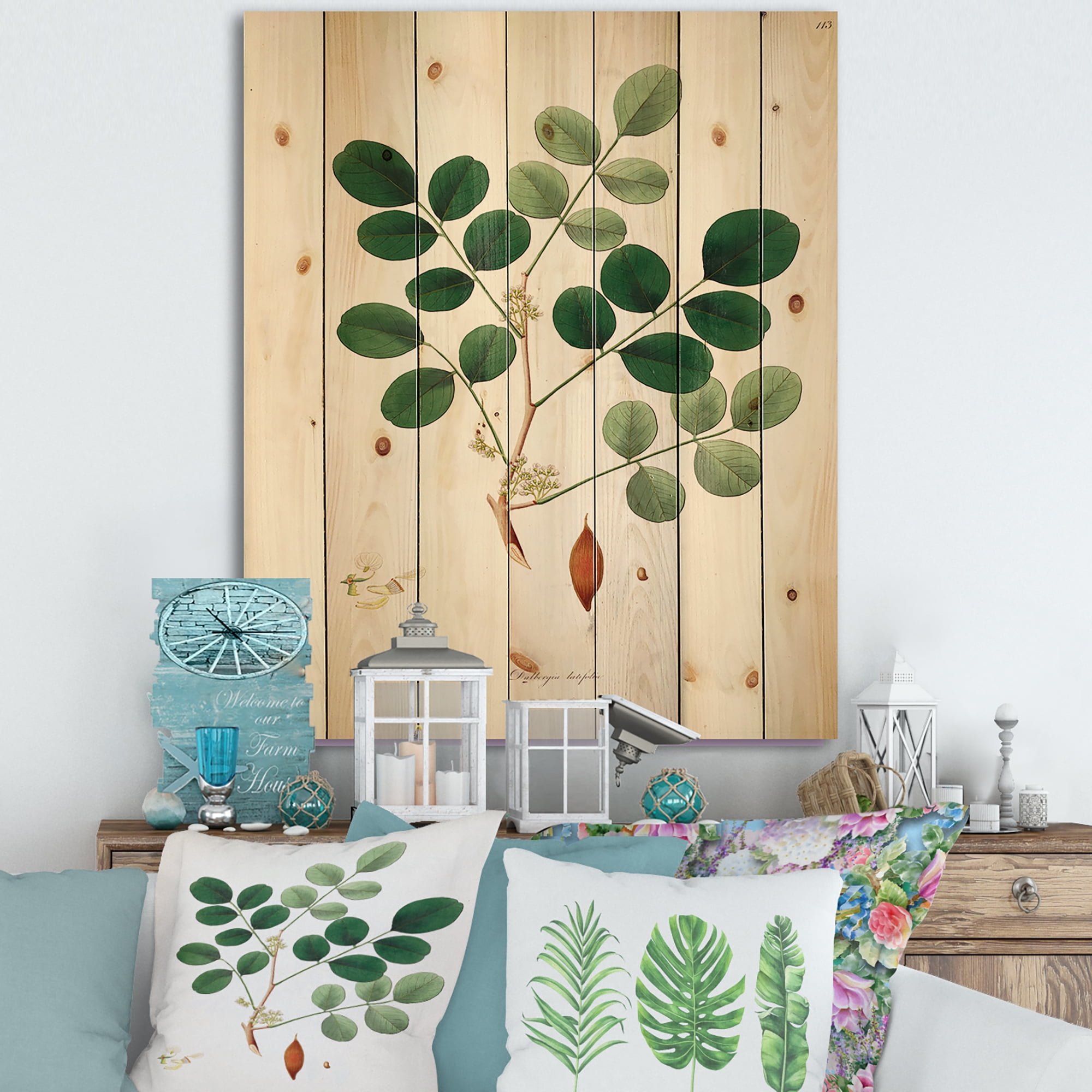 Designart 'Ancient Plant Life XI' Farmhouse Print on Natural Pine Wood