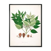 Designart 'Ancient Plant Life XII' Farmhouse Framed Canvas Wall Art Print