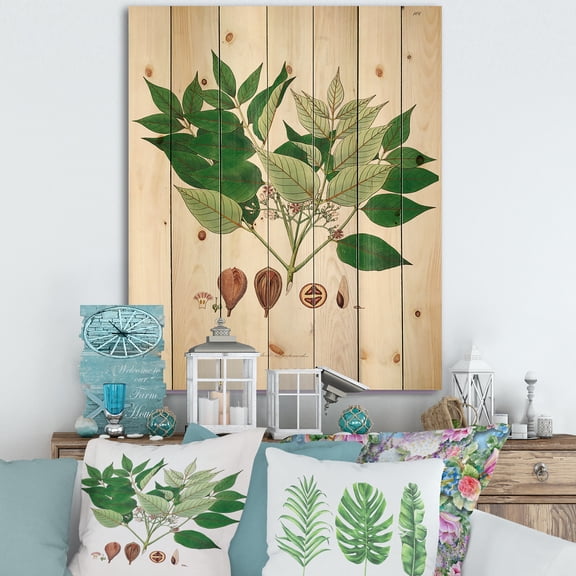 Designart 'Ancient Plant Life XII' Farmhouse Print on Natural Pine Wood