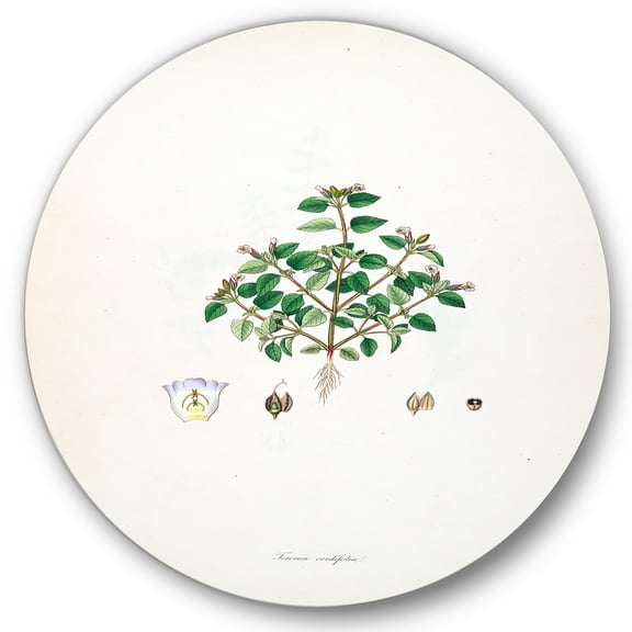 Designart 'Ancient Plant Life XIII' Farmhouse Circle Metal Wall Art 36x36 - Disc of 36