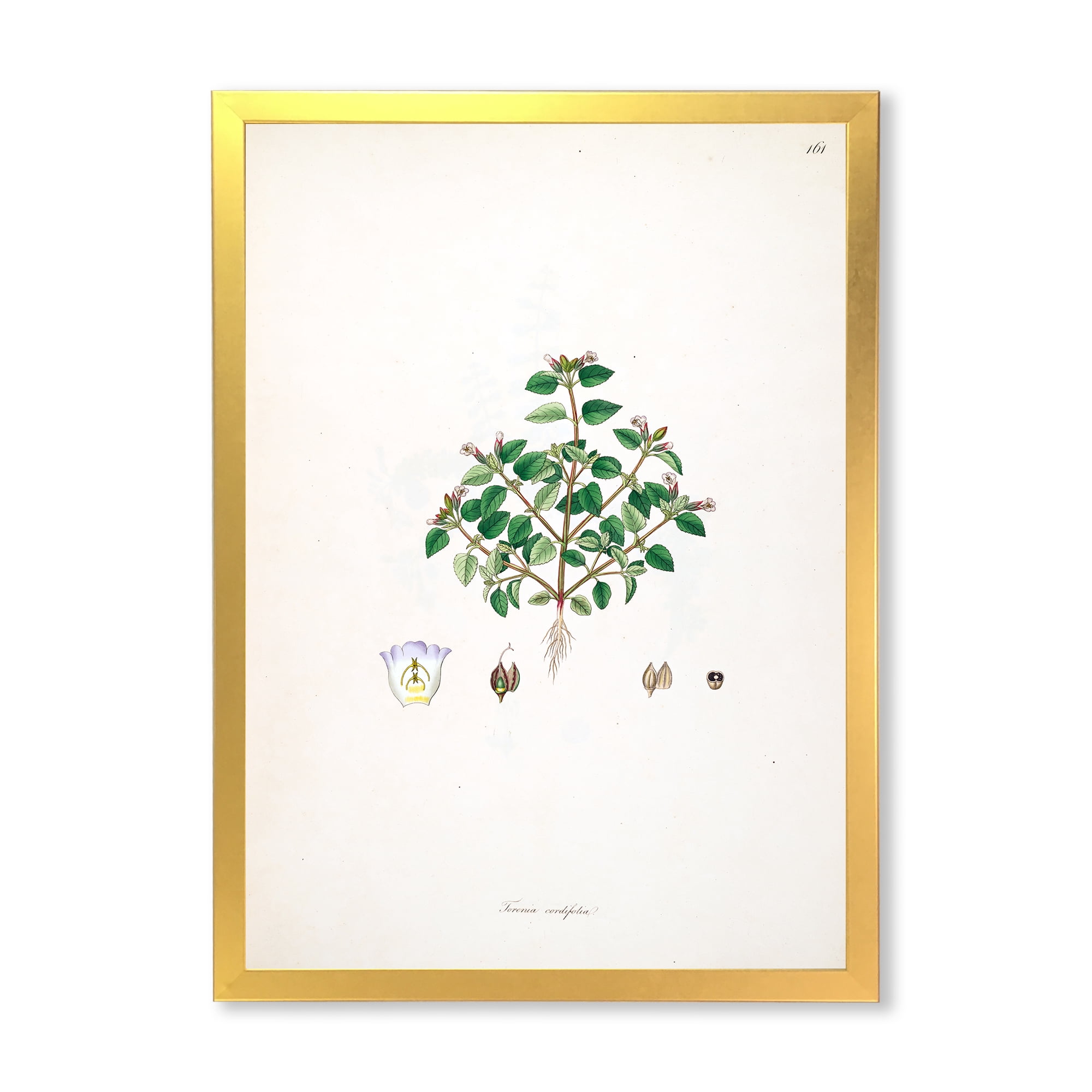 Designart 'Ancient Plant Life XIII' Farmhouse Framed Art Print