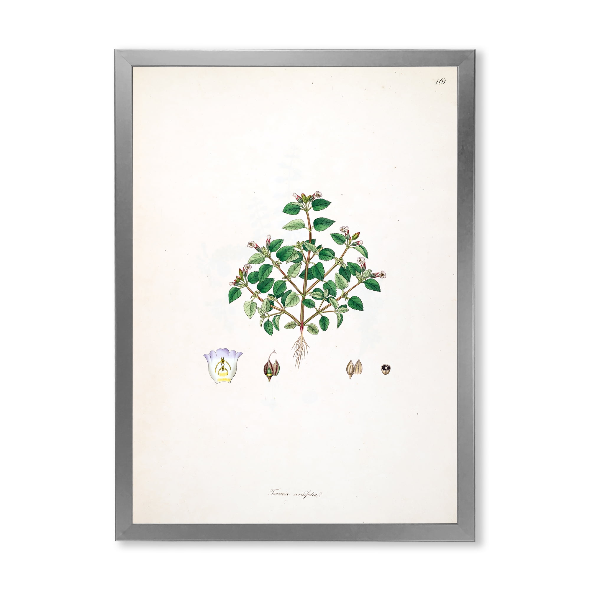Designart 'Ancient Plant Life XIII' Farmhouse Framed Art Print