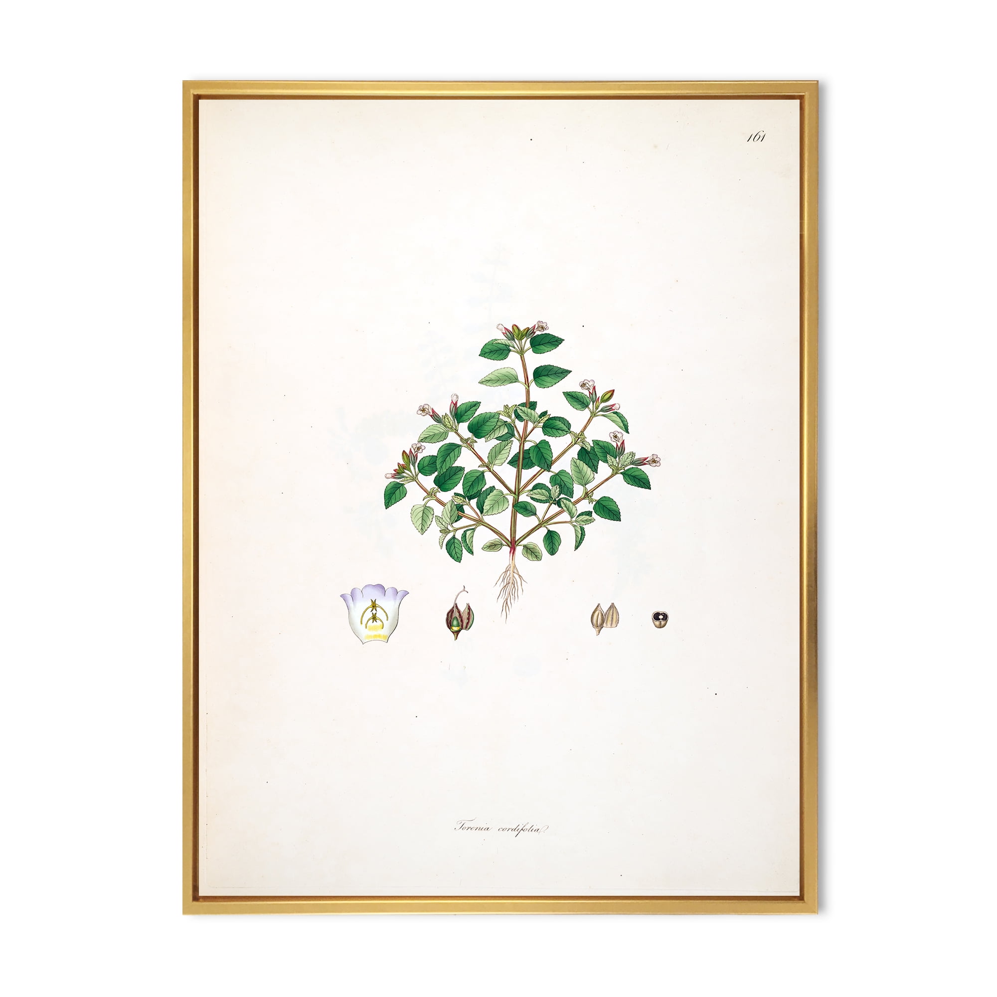 Designart 'Ancient Plant Life XIII' Farmhouse Framed Canvas Wall Art Print