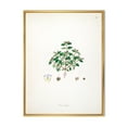 thumbnail image 1 of Designart 'Ancient Plant Life XIII' Farmhouse Framed Canvas Wall Art Print, 1 of 5