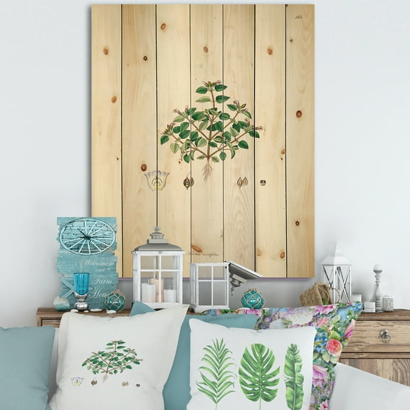 Designart 'Ancient Plant Life XIII' Farmhouse Print on Natural Pine Wood