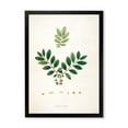 thumbnail image 1 of Designart 'Ancient Plant Life XIV' Farmhouse Framed Art Print, 1 of 1