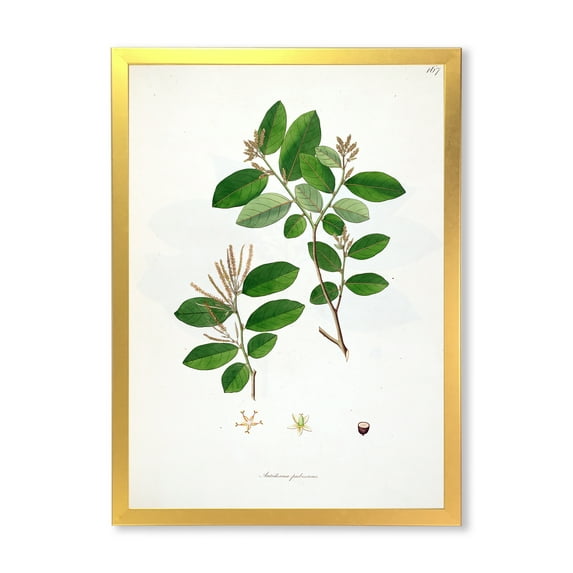 Designart 'Ancient Plant Life XIX' Farmhouse Framed Art Print