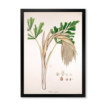 Designart 'Ancient Plant Life XV' Farmhouse Framed Art Print