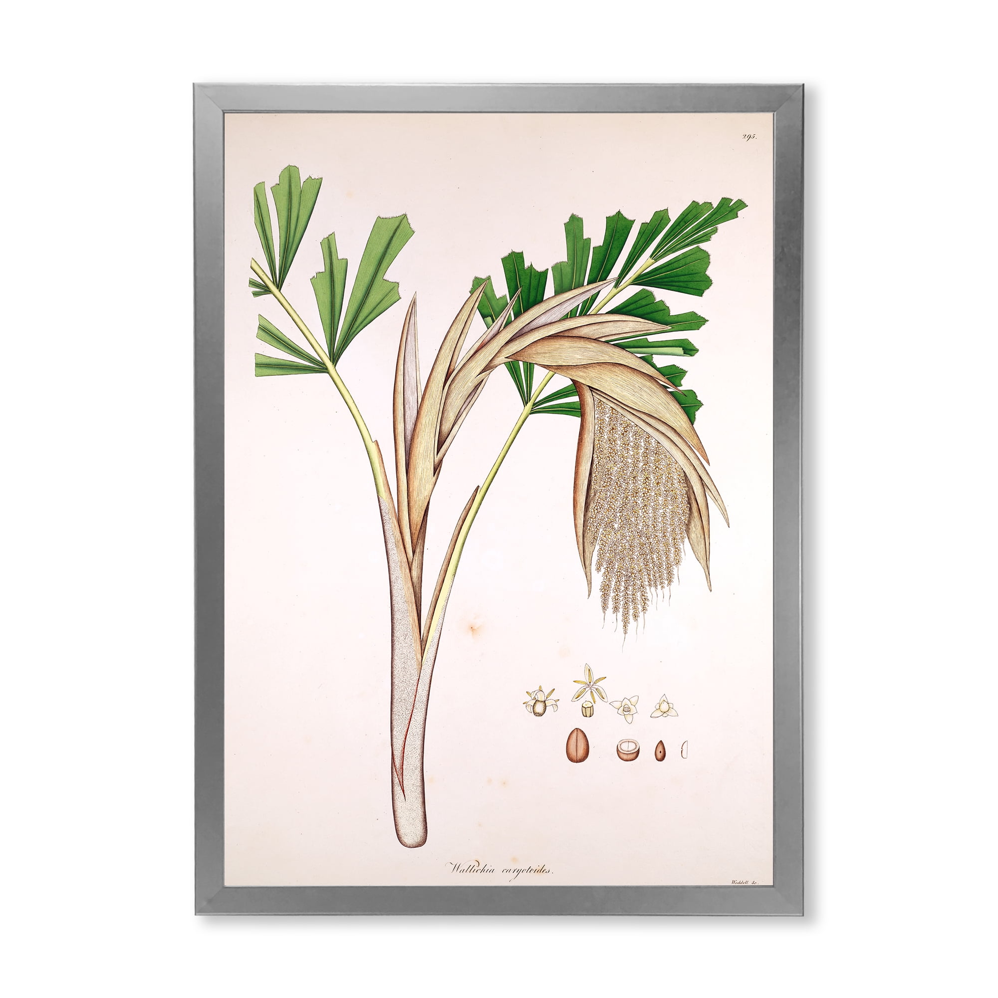Designart 'Ancient Plant Life XV' Farmhouse Framed Art Print
