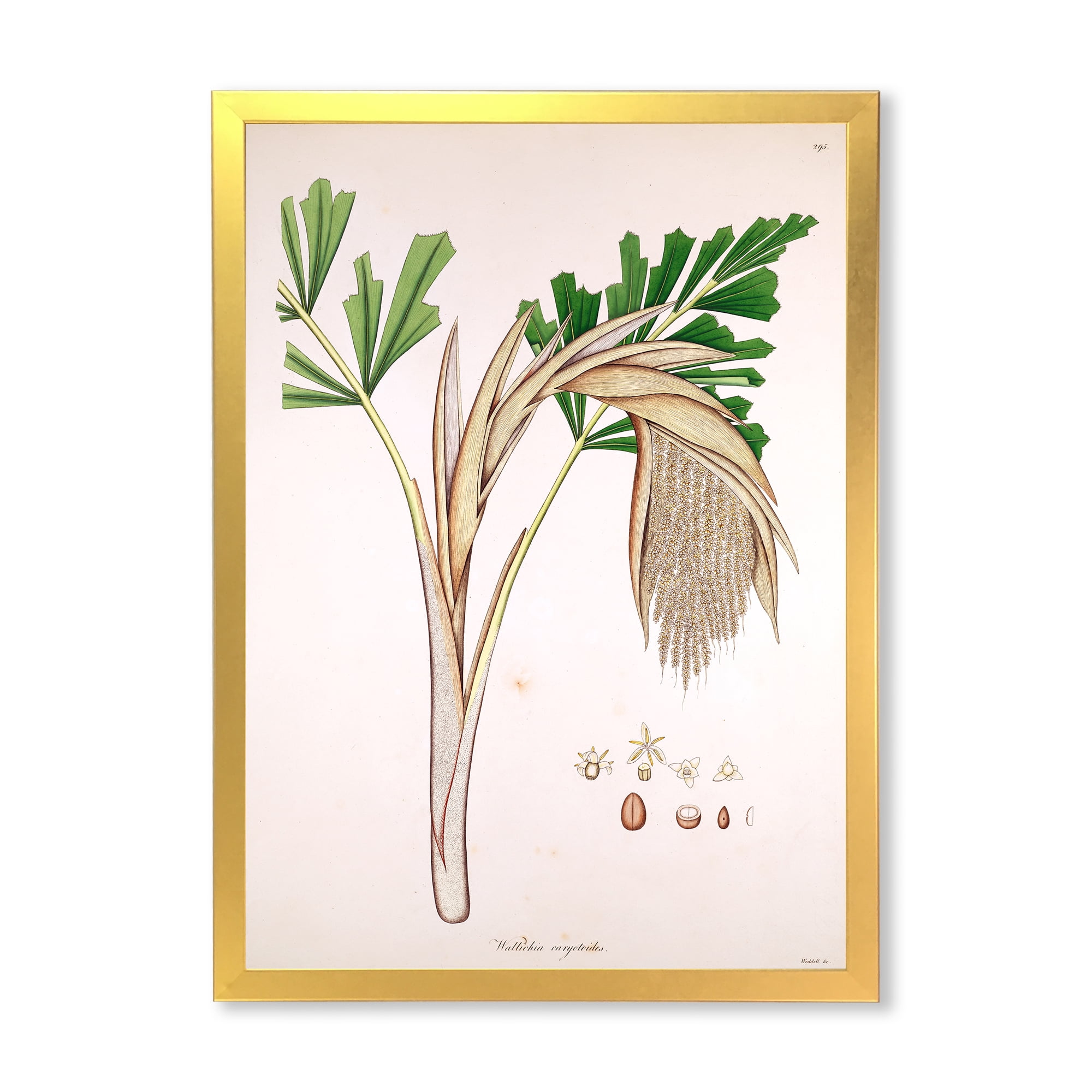 Designart 'Ancient Plant Life XV' Farmhouse Framed Art Print