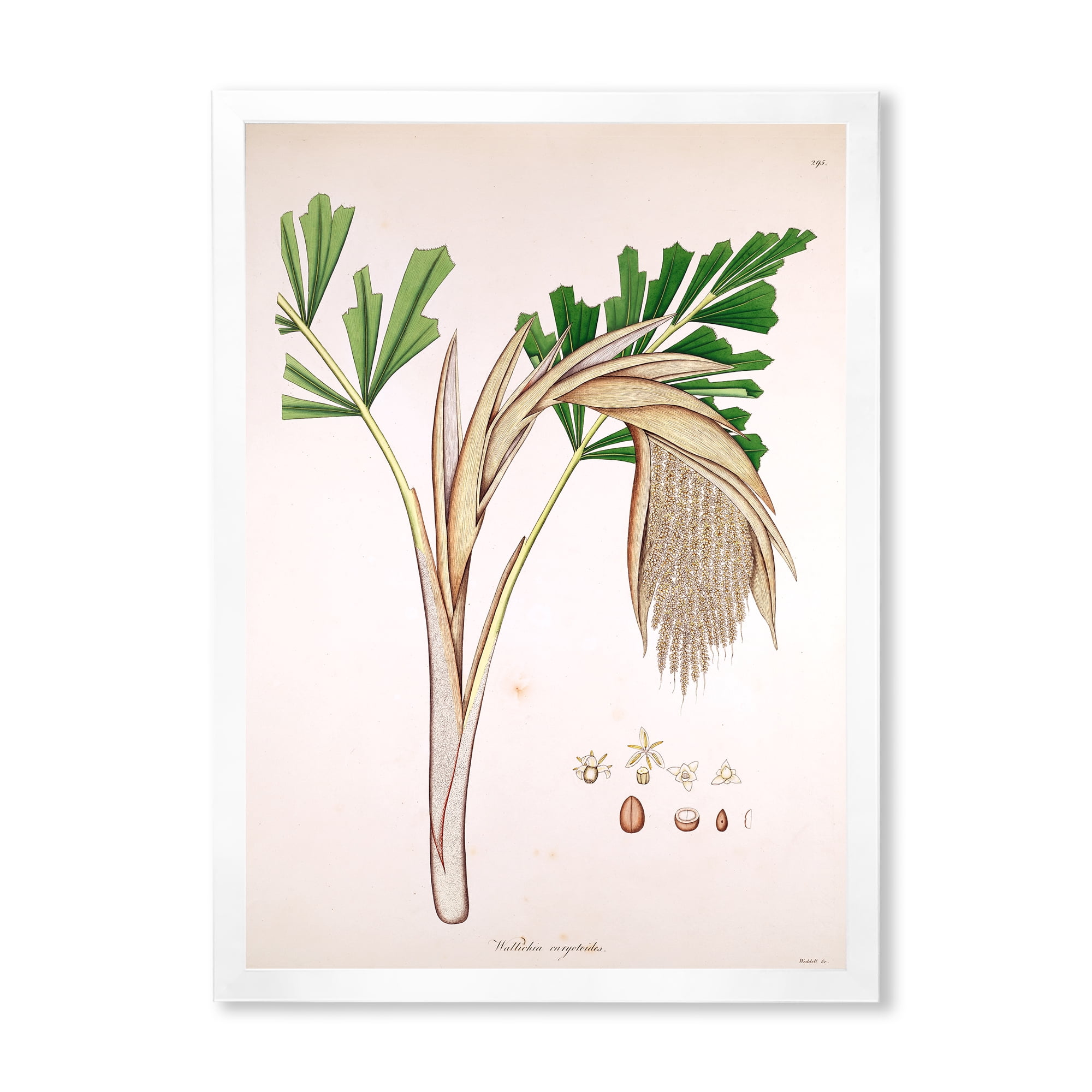 Designart 'Ancient Plant Life XV' Farmhouse Framed Art Print