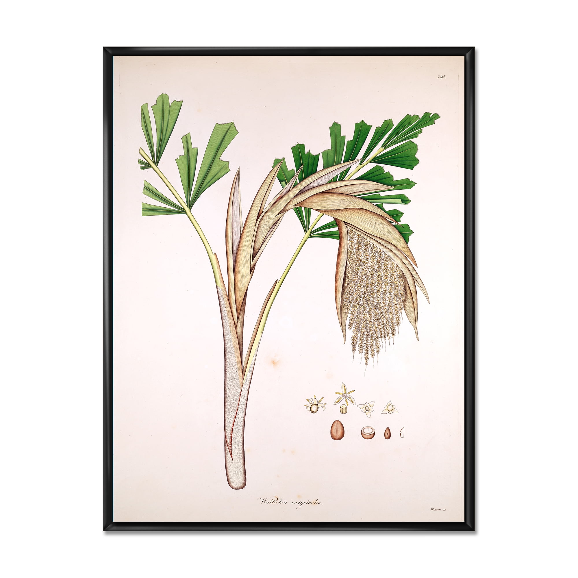 Designart 'Ancient Plant Life XV' Farmhouse Framed Canvas Wall Art Print