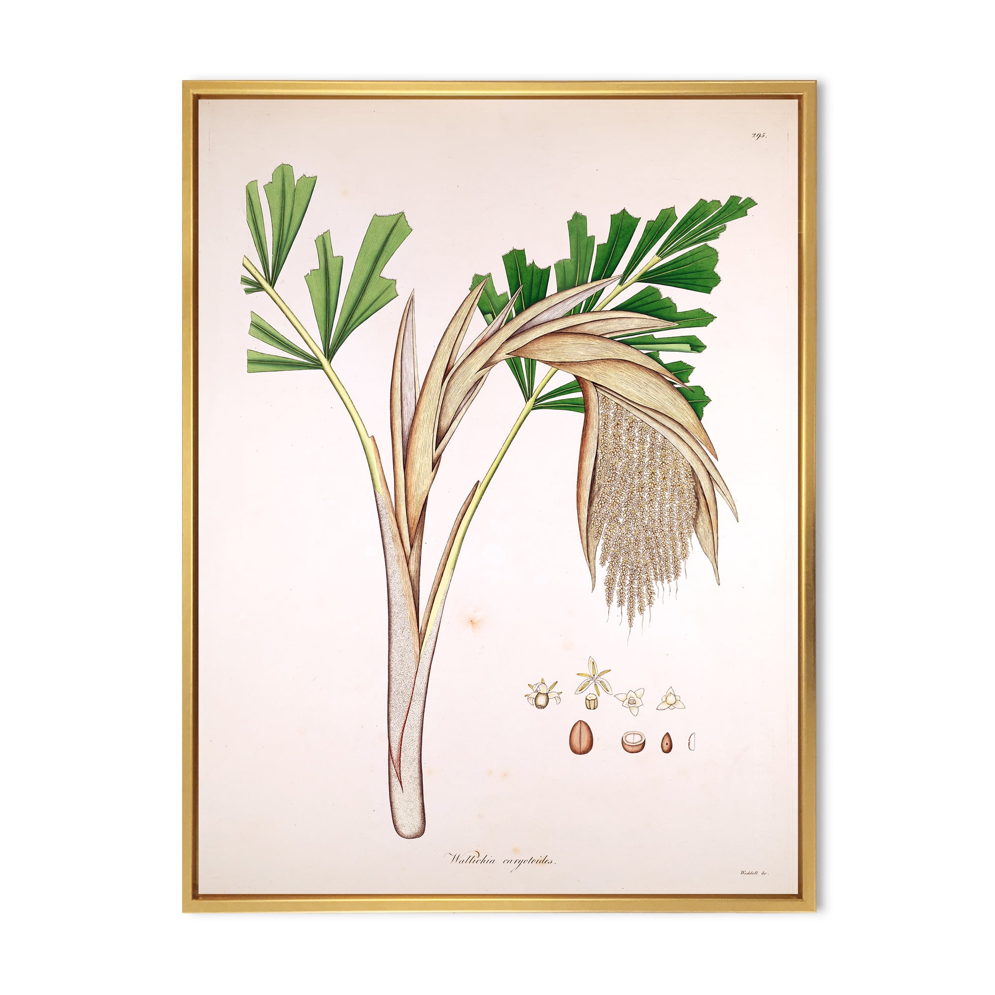 Designart 'Ancient Plant Life XV' Farmhouse Framed Canvas Wall Art Print
