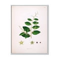 thumbnail image 1 of Designart 'Ancient Plant Life XVI' Farmhouse Framed Canvas Wall Art Print, 1 of 5
