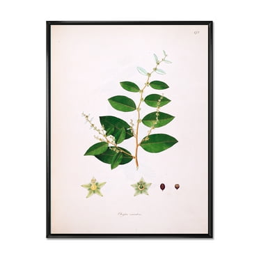 Designart 'Ancient Plant Life XVI' Farmhouse Framed Canvas Wall Art Print