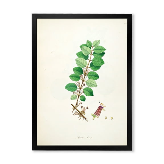 Designart 'Ancient Plant Life XVII' Farmhouse Framed Art Print