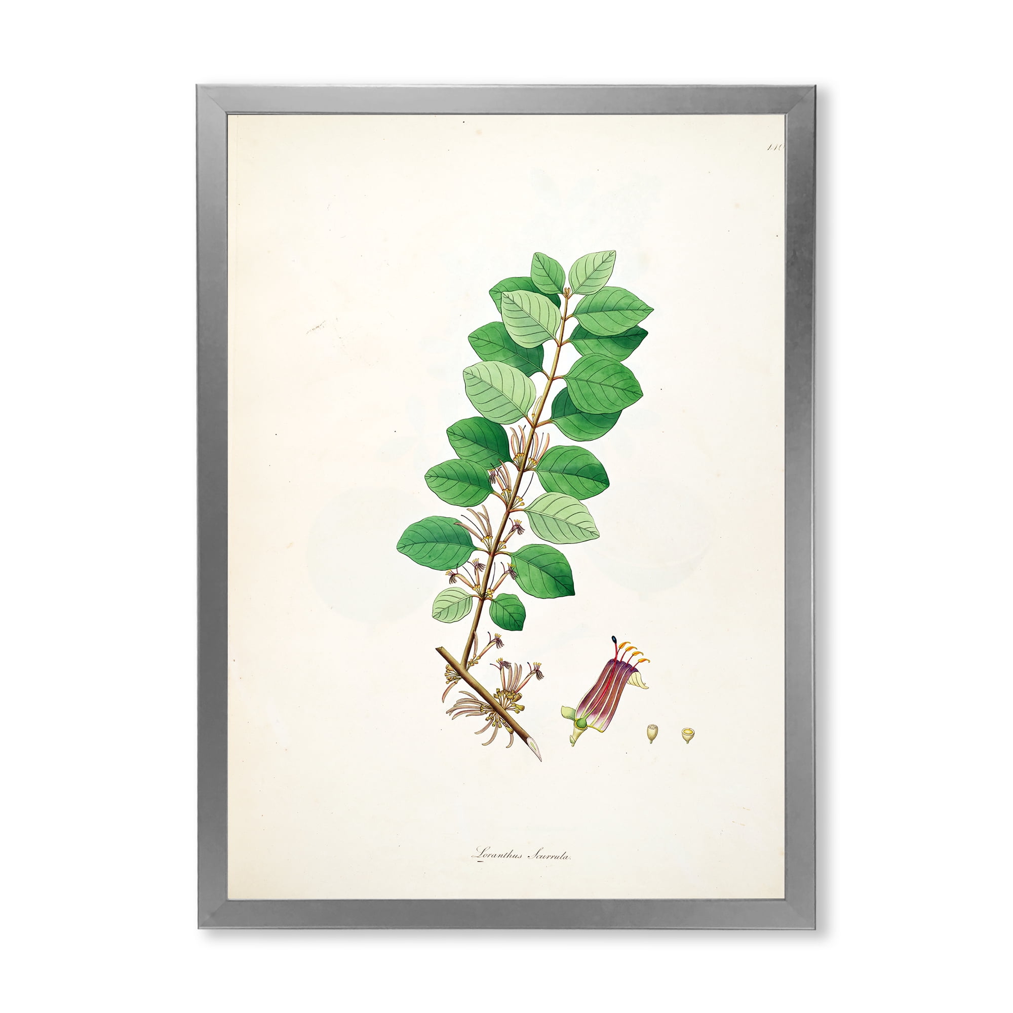 Designart 'Ancient Plant Life XVII' Farmhouse Framed Art Print