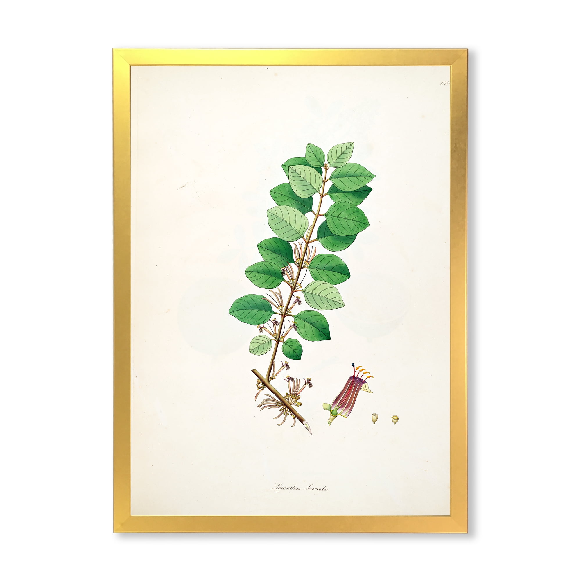Designart 'Ancient Plant Life XVII' Farmhouse Framed Art Print