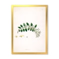thumbnail image 1 of Designart 'Ancient Plant Life XVIII' Farmhouse Framed Art Print, 1 of 4