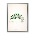 thumbnail image 1 of Designart 'Ancient Plant Life XVIII' Farmhouse Framed Art Print, 1 of 4