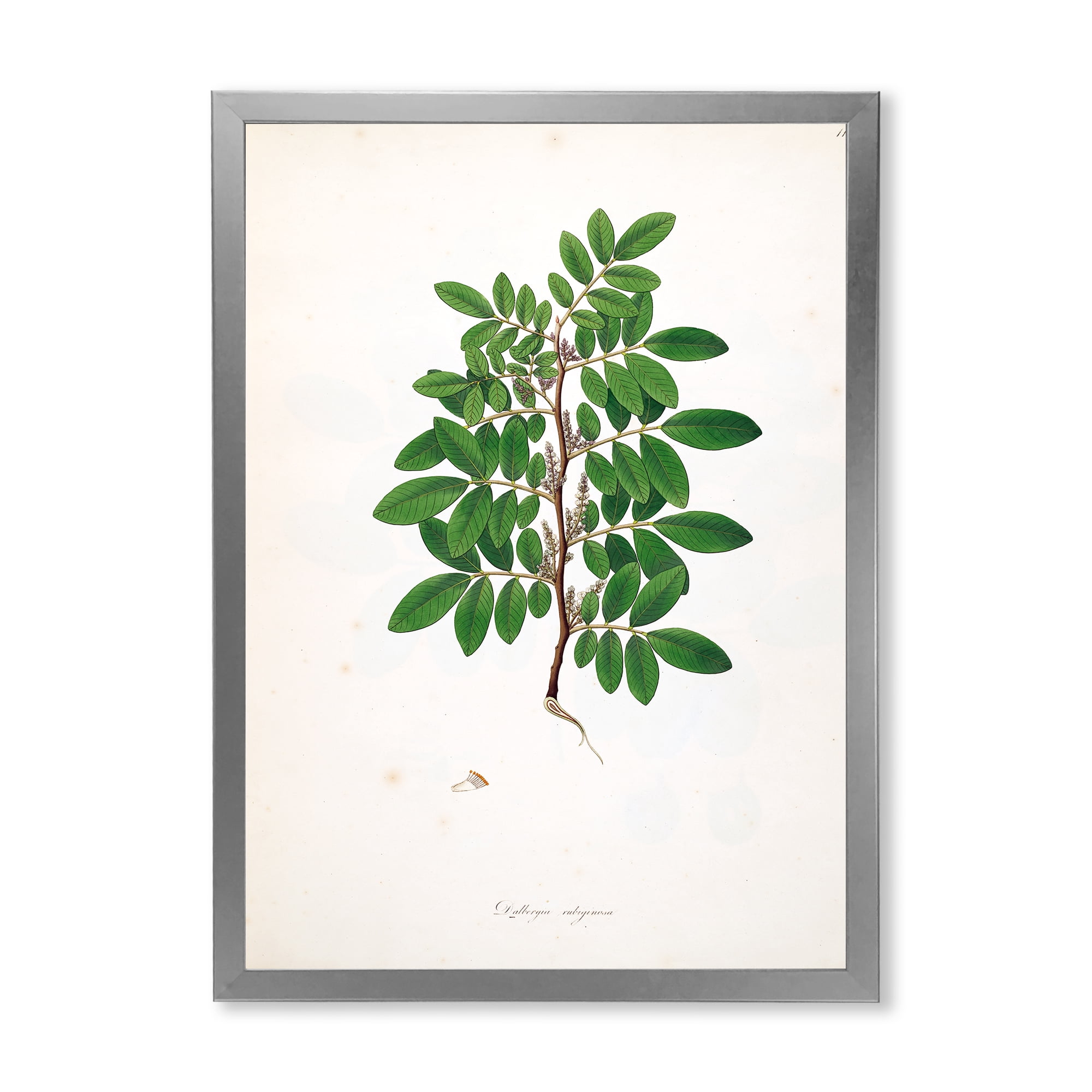 Designart 'Ancient Plant Life XX' Farmhouse Framed Art Print