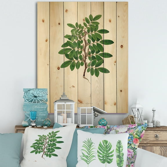 Designart 'Ancient Plant Life XX' Farmhouse Print on Natural Pine Wood