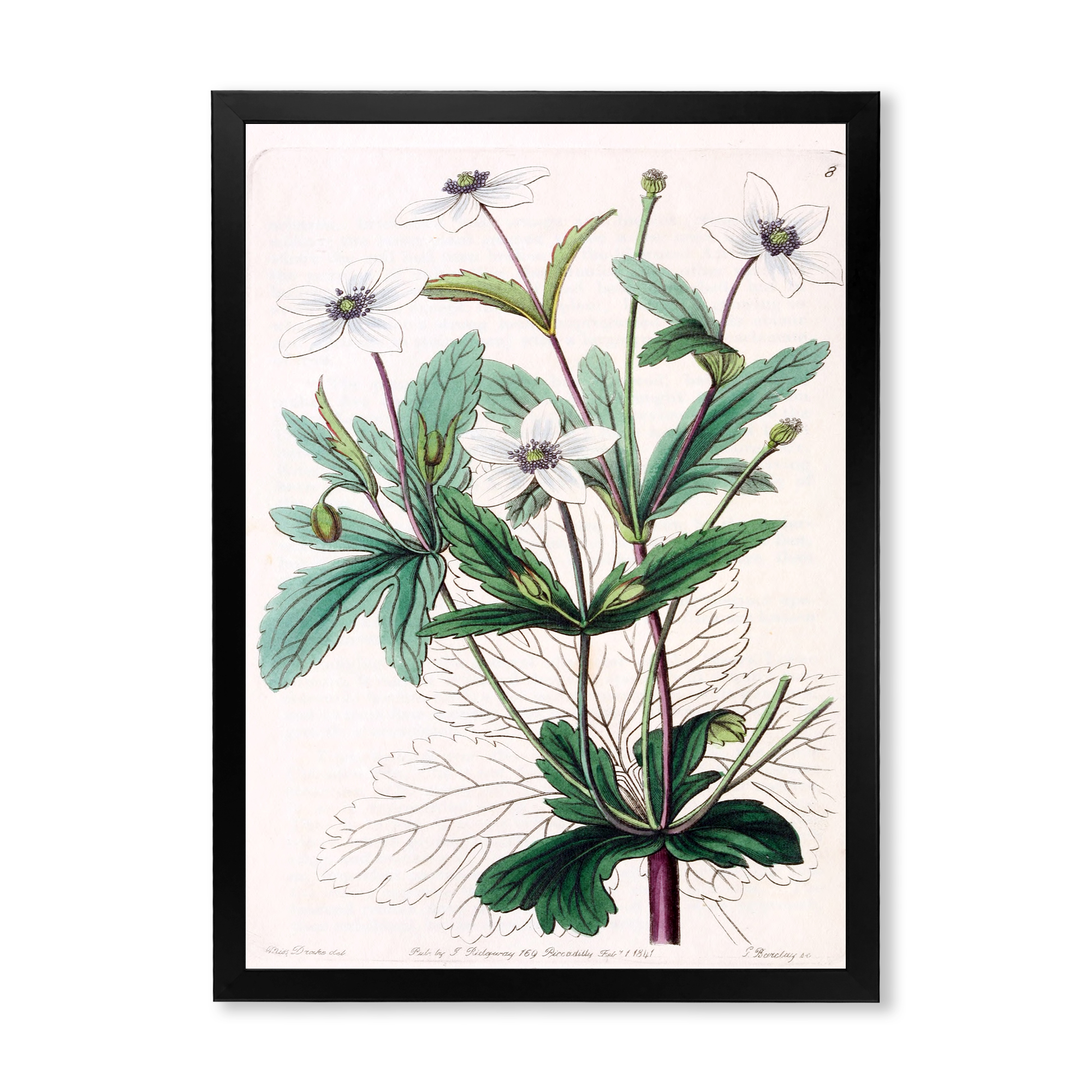 Designart 'Ancient Plant Life XXI' Traditional Framed Art Print