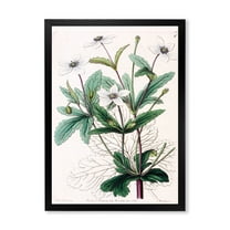 Designart 'Ancient Plant Life XXI' Traditional Framed Art Print
