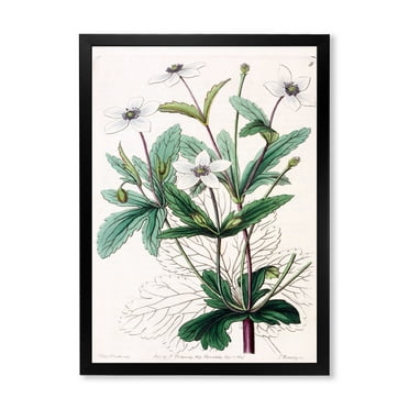 Designart 'Ancient Plant Life XXI' Traditional Framed Art Print