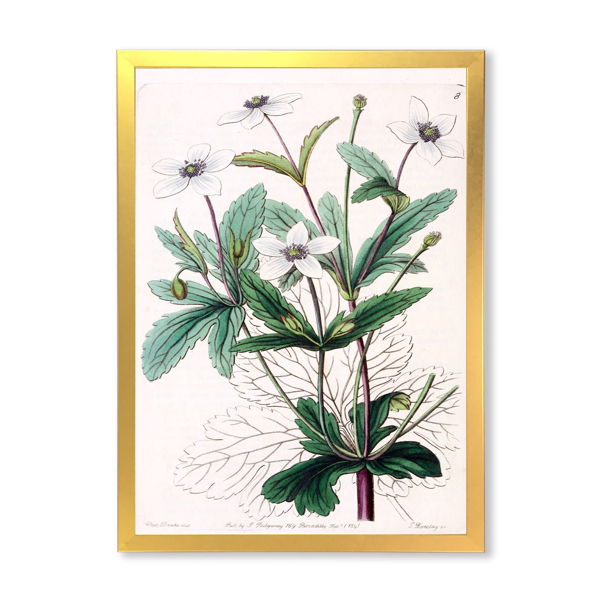 Designart 'Ancient Plant Life XXI' Traditional Framed Art Print