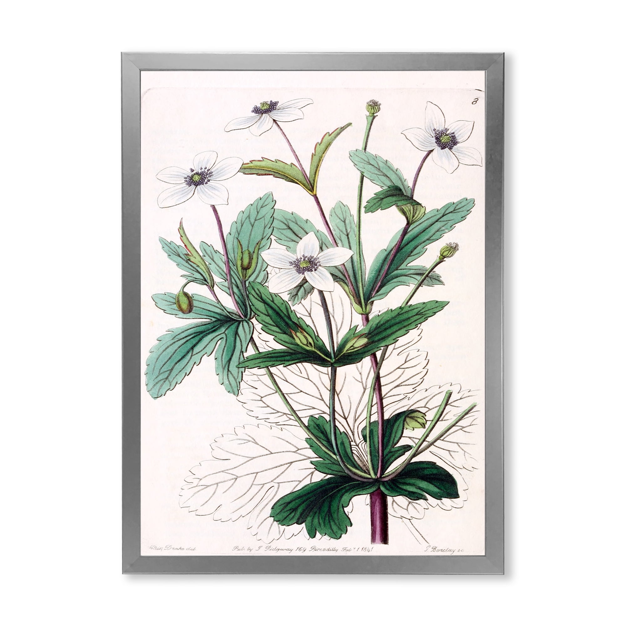 Designart 'Ancient Plant Life XXI' Traditional Framed Art Print